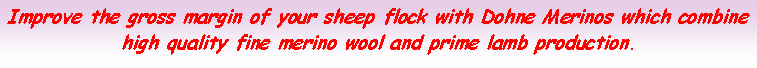 Text Box: Double the gross margin of your woolled sheep flock with Dohne Merinos which combine high quality fine merino wool and prime lamb production.