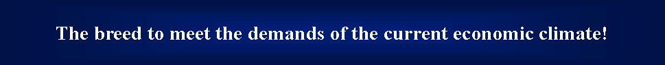 Text Box: The breed to meet the demands of the current economic climate!