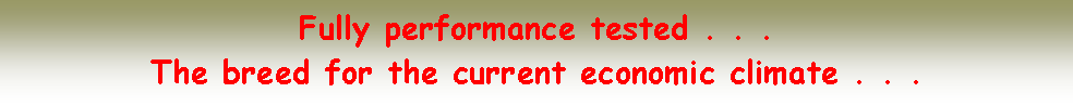 Text Box: Fully performance tested . . .The breed for the current economic climate . . .
